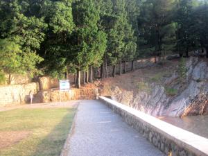 a bridge over a body of water next to trees at Apartments Danilo Kažanegra in Sveti Stefan