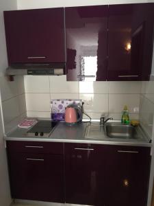 Kuchyň nebo kuchyňský kout v ubytování Villa Popic