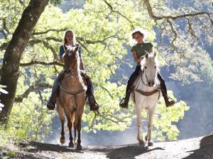 Horseback riding sa holiday home o sa malapit