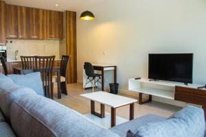 TV a/nebo společenská místnost v ubytování Palm Aparthotel