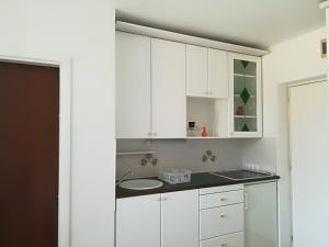 Kuchyň nebo kuchyňský kout v ubytování MB apartment Bled