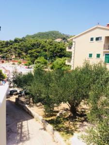 a view of a beach with trees and a building at Apartmani Kronjac in Milna