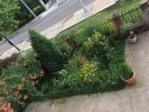 Giardino di Natia Guest House
