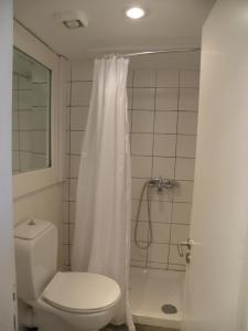a bathroom with a toilet and a shower with a shower curtain at Spitakia in Vourkari +146 photos