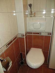 Koupelna v ubytování Apartman Mario