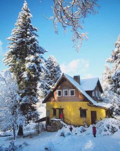 a house in the snow with a tree at Los Juncos Patagonian Lake House in San Carlos de Bariloche