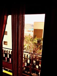 ein Fenster mit Blick auf einen Baum und ein Gebäude in der Unterkunft Room 16 in Los Cristianos