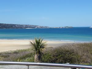 a beach with a palm tree and the ocean at The Penellen guest accommodation room only in Hayle
