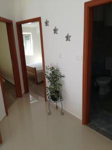 Fotografie z fotogalerie ubytování Jurić Apartments v destinaci Biograd na Moru