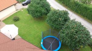 Zahrada ubytování Apartment King