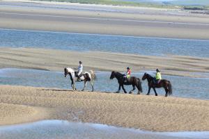 een groep mensen die paardrijden op het strand bij Armada Lodge Seashore Holiday Apartment in Grange
