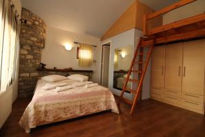 a bedroom with a bunk bed and a ladder at Fakistra's Blue House in Tsagarada