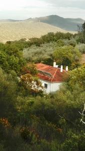 モネステリオにあるCasa de Campo Ecológica en Sierra de Monesterio Siquemの野地の赤屋根白屋