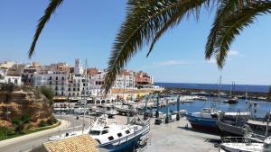 a bunch of boats parked in a marina with a palm tree at Piso con vistas al puerto - Wifi in L'Ametlla de Mar