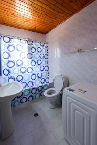 a bathroom with a toilet and a sink at Villa Fantasea in Plimmiri +40 photos