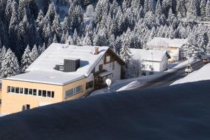 Gallery image of Ferienwohnung Sonnalpen in Damuls