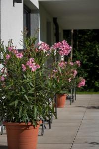 Vonkajšia záhrada v ubytovaní Ferienwohnung Unterlechner