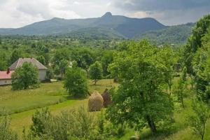 a view of a field with mountains in the background at La Vasile la Cazan in Mara