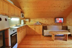 Eldhús eða eldhúskrókur á Gasserhütte