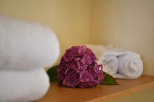 Fotografie z fotogalerie ubytování Quinta Frizado v destinaci Prazeres