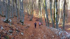Hosté ubytování Natour l'Ostello per i camminatori