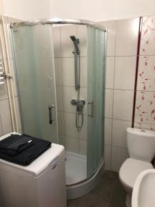 łazienka z przeszklonym prysznicem i toaletą w obiekcie Apartament Przy Skarpie w Toruniu