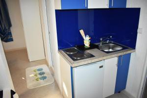 Kuchyň nebo kuchyňský kout v ubytování Guest House Aldin
