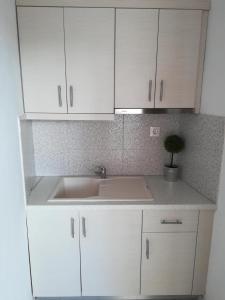 Una cocina o cocineta en Vaya Zorba Studios