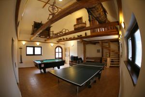 a room with a ping pong table in a house at Chalupa U Mateje in Trutnov