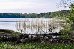 a view of a lake with trees in the background at Zajazd Dabie in Dąbie