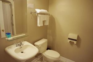 A bathroom at Motel Casino