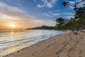 a beach with trees and the ocean at sunset at Playabachata in San Felipe de Puerto Plata