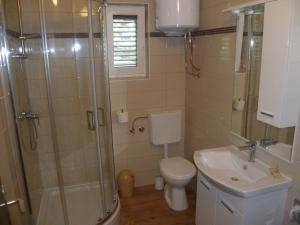 a bathroom with a shower and a toilet and a sink at Vesna Pag Potočnica in Borovići