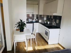 Η κουζίνα ή μικρή κουζίνα στο West vibes apartment