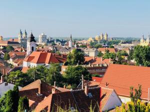 vistas a una ciudad con techos rojos en Annabel Villa, en Eger