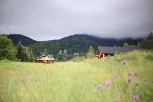 Príroda v okolí apartmánu