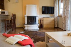 Televízia a/alebo spoločenská miestnosť v ubytovaní Apartament Królewski Superior z sauną
