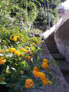 eine Treppe mit gelben und orangefarbenen Blumen in der Unterkunft Casa Clotide in Maiori