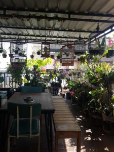 a greenhouse with a table and chairs and potted plants at Wanderlust Homestay in Yogyakarta