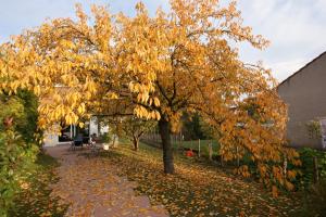 Galeriebild der Unterkunft Les Chambres de La Maxe in La Maxe