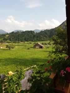 Galeriebild der Unterkunft Apartmaji Bremec in Bohinj