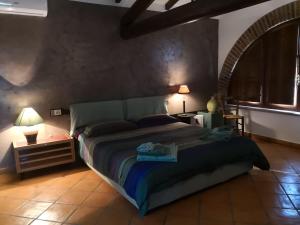 1 dormitorio con 1 cama grande en una habitación en B&B Il Martin Pescatore en Bagnolo San Vito