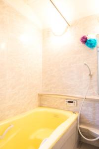 Ванна кімната в Tokyo Aoto House