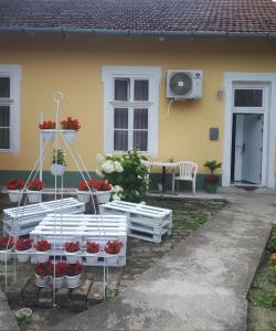 a house with a bunch of flowers in a yard at Apartment Milijana in Subotica