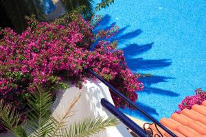 The swimming pool at or close to UzHan Beach Hotel