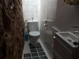Baño pequeño con aseo y lavamanos en Ca'ls avis en Serra