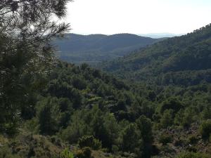 Blick auf ein Tal mit Bäumen und Bergen in der Unterkunft Ca'ls avis in Serra