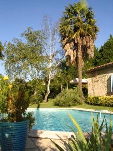 a swimming pool with palm trees and a house at La Petite Provence de Touron in Pujols Gironde