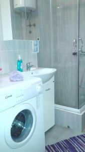 une machine à laver dans une salle de bain avec douche dans l'établissement Apartment Marsala Tita, à Bar