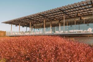 a building with a field of flowers in front of it at Palmares Beach House Hotel - Adults Only in Lagos